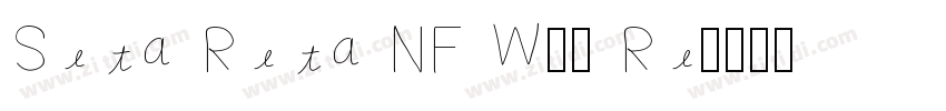 Seta Reta NF W05 Re字体转换
